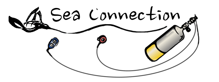 Sea connection